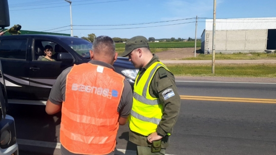 Corrientes: Se interceptaron 220 cajas con frutas que eran trasladadas en forma irregular