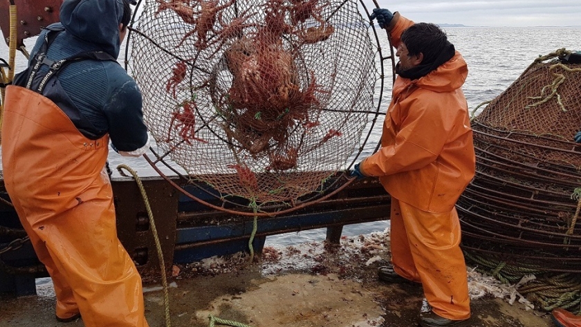 IFOP e INIDEP de Argentina firman convenio que promueve la investigación de los recursos marinos