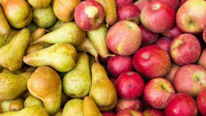 Productores e industriales acordaron precio de referencia para la pera y la manzana