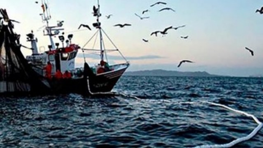 Fuerte caída de la pesca