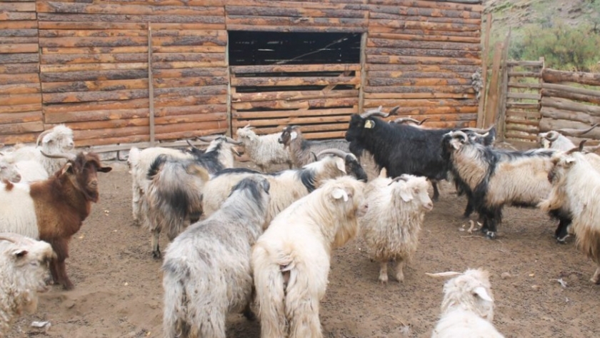 Desarrollo Rural: Aprueban dos proyectos más por 10 millones de pesos