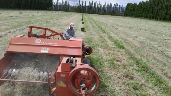 Importante inversión del Consejo Agrario Provincial para el desarrollo agrícola en Santa Cruz