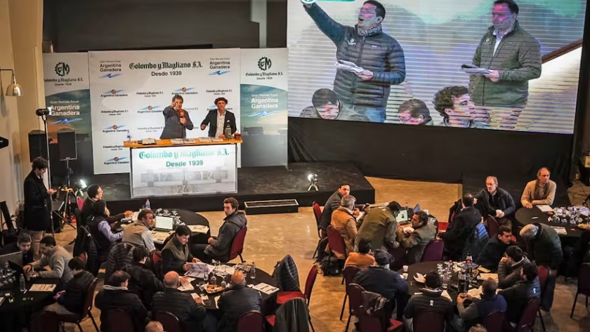 Récord en Palermo: se realiza el mayor remate de invernada de la historia ganadera argentina