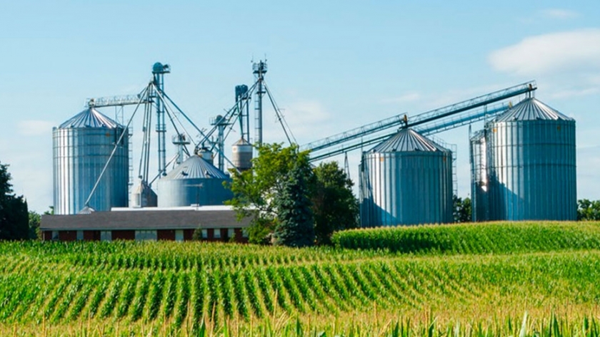 Covid-19: analizaron aplicación de protocolos preventivos en agroindustrias