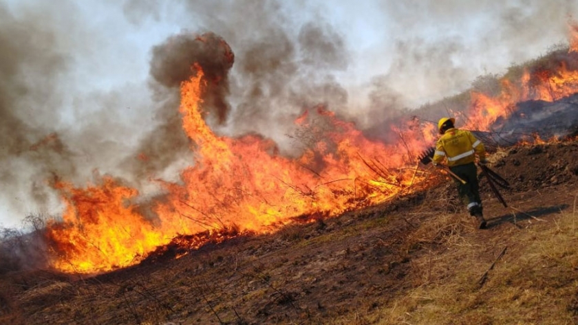Sofocan importante incendio de pastizales en Loteo Las Marías