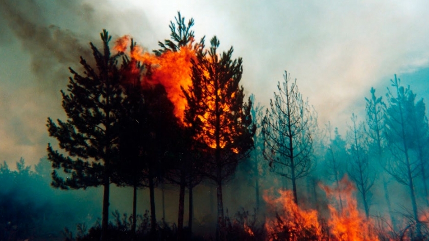 Chubut se prepara ante la llegada de la temporada de incendios