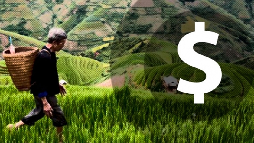 Medio ambiente y dinero: así es la agricultura en China