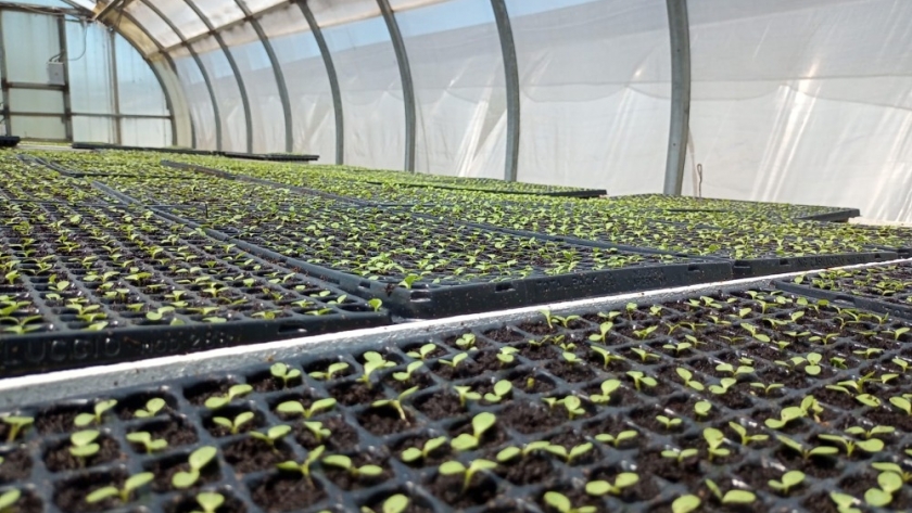 El CERET será sede de la XXII Jornada Hortícola