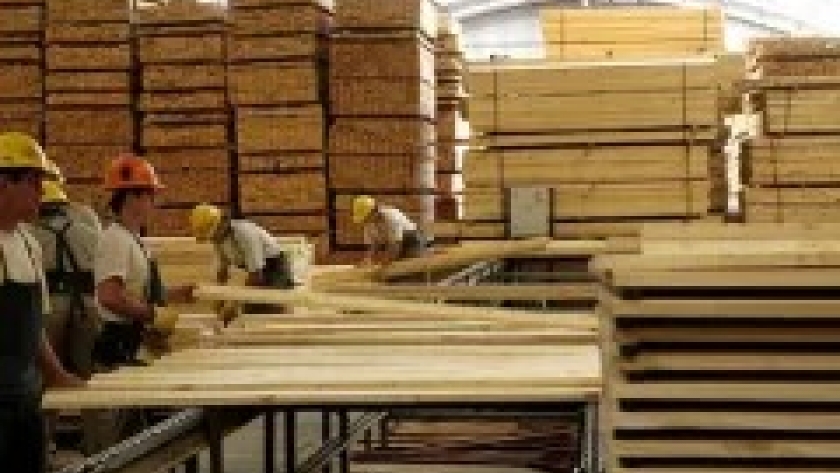 Complicada situación de la foresto industria en Misiones