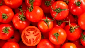 Los tomates de la nueva generación. Frescos, inocuos y 4.0