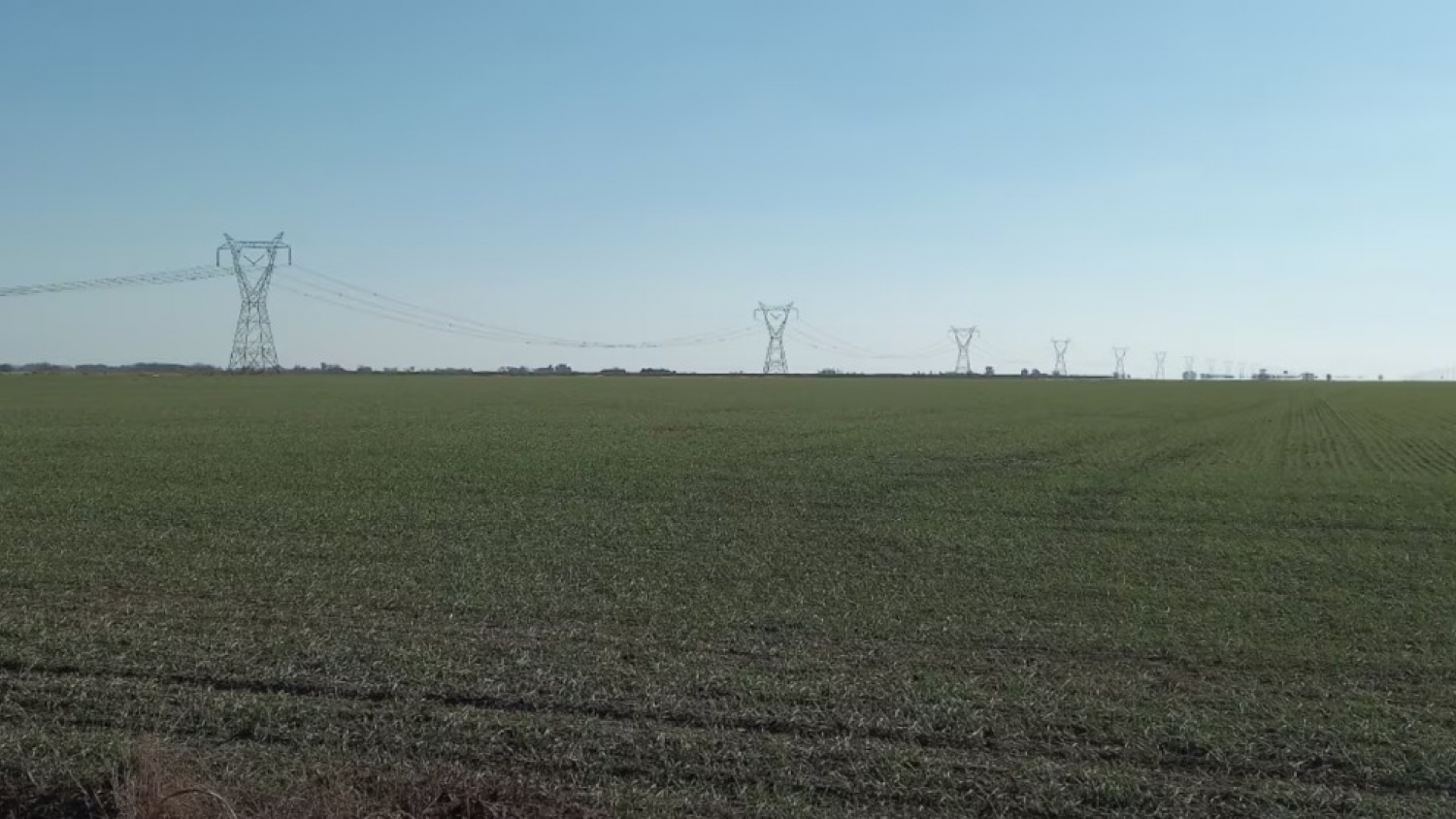 El mercado de campos recupera dinamismo y crecen las operaciones impulsadas por un mejor escenario económico