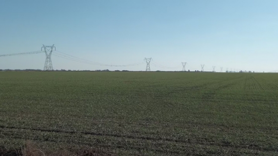 El mercado de campos recupera dinamismo y crecen las operaciones impulsadas por un mejor escenario económico