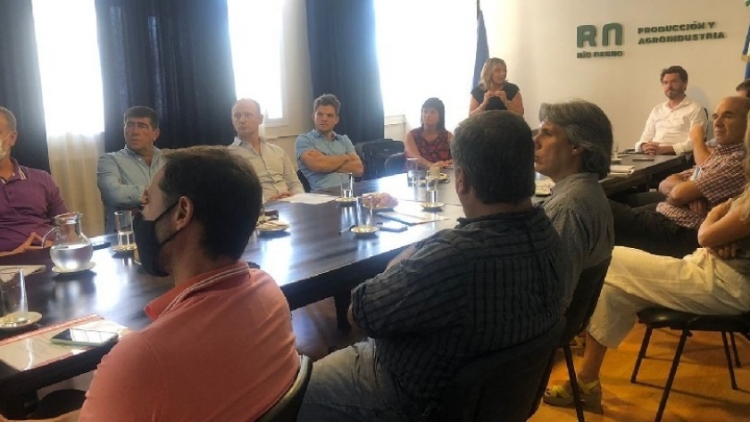 El MPyA mantuvo una reunión para analizar la situación del mercado de la carne aviar en la provincia