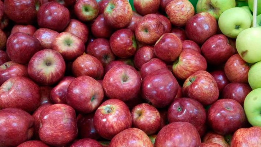 Detonan producción de manzana