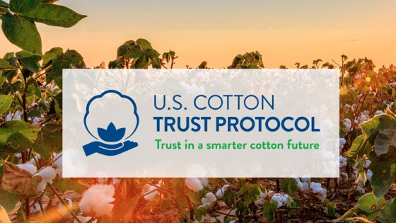 Cotton USA refuerza su presencia en Latinoamérica con una propuesta de valor
