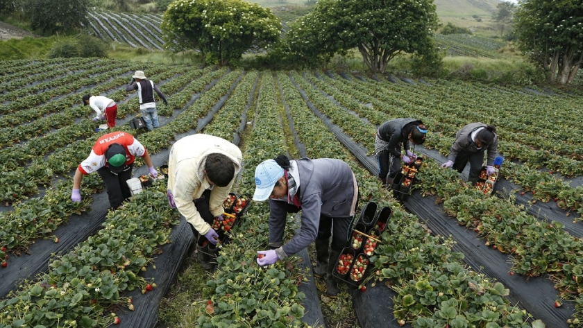 Publican la nómina de los productores frutihortícolas bonaerenses afectados por las tormentas de agosto