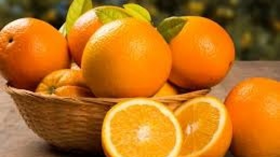 El INTA impulsa mejoras en la producción citrícola industrial en Entre Ríos