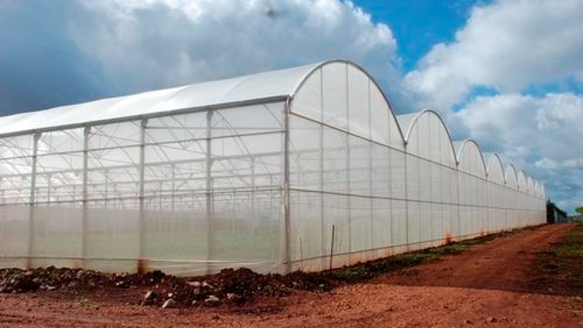 La Cooperativa Tutelkan prepara los kits para la construcción de los invernaderos