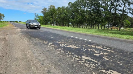 Estado crítico de las rutas nacionales: una amenaza para la seguridad vial y la productividad