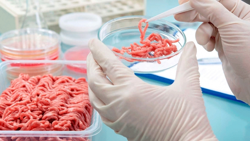 La Argentina ya fabrica su propia versión de carne cultivada