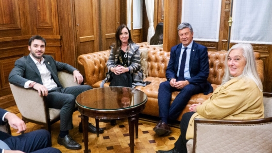 Torres se reunió en Buenos Aires con la vicepresidenta de la Nación