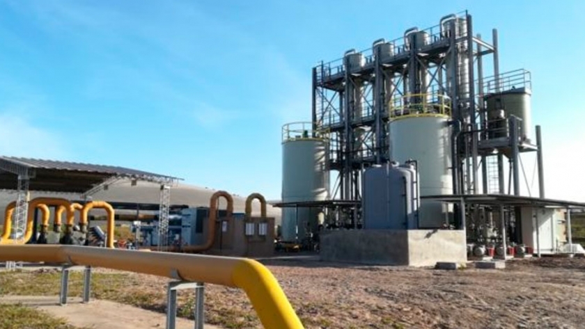 Una citrícola convierte efluentes en electricidad