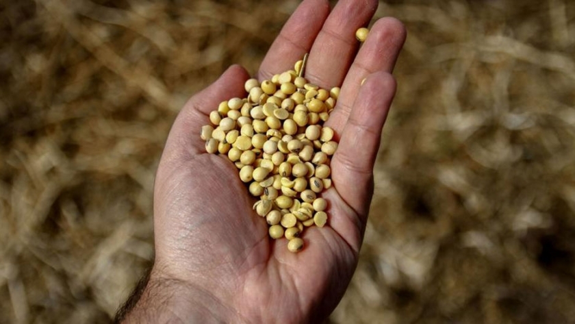 ¿Para qué sirven las retenciones al sector agropecuario?