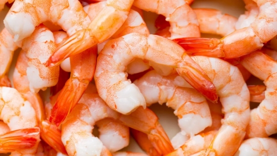 Conflicto en la pesca del langostino: el paro que ya afectó 100 millones de dólares en exportaciones
