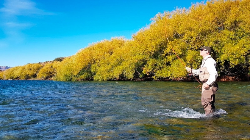 Declaran zona libre de enfermedades de los salmónidos a la cuenca del río Limay