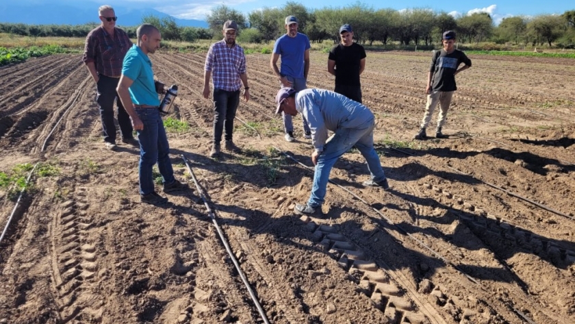 Capacitación en riego por goteo para productores agropecuarios del interior provincial