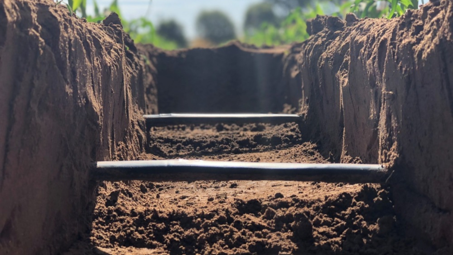 Riego subterráneo: la tecnología que cambia cultivos extensivos