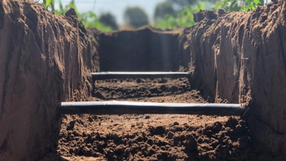 Riego subterráneo: la tecnología que cambia cultivos extensivos