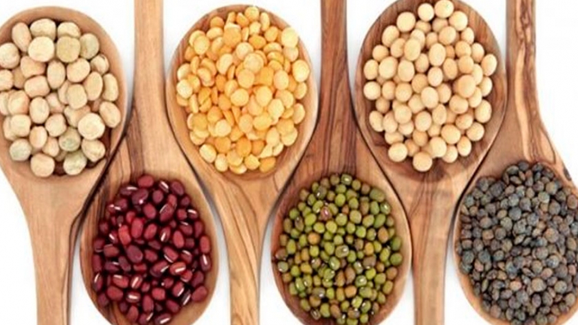 Investigadores desarrollan nuevos alimentos ricos en proteínas