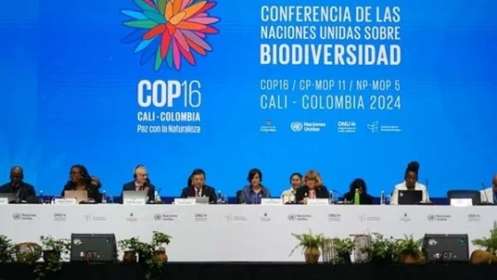 La Bioeconomía y las Soluciones Basadas en la Naturaleza en la COP16: impulsando un futuro sostenible