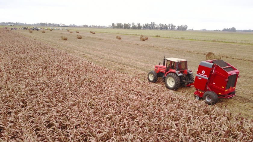 Máquinarias agrícolas la facturación por ventas alcanzó $ 25.277,9 millones