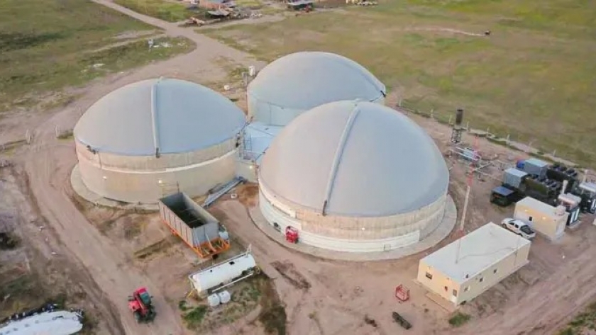 Energía recibió 40 proyectos de bioenergías en la última licitación de Energías Renovables