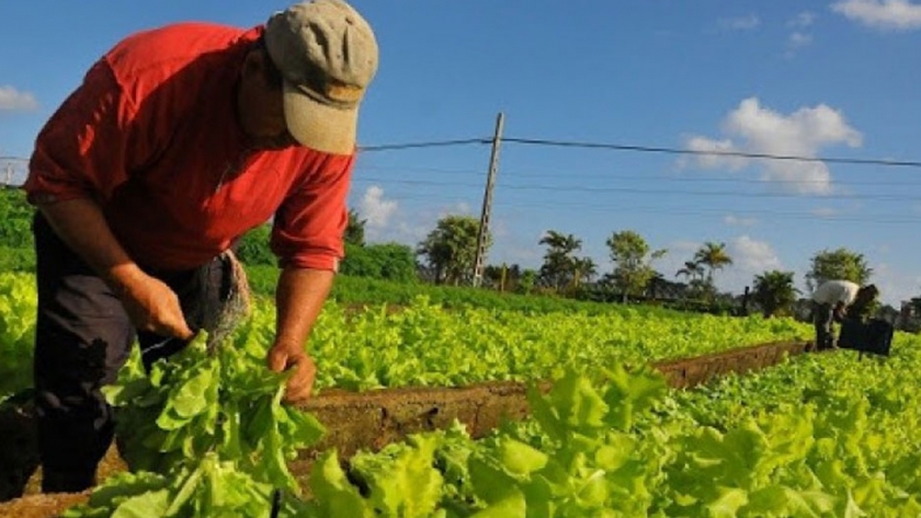 Forman a asesores en buenas prácticas agrícolas