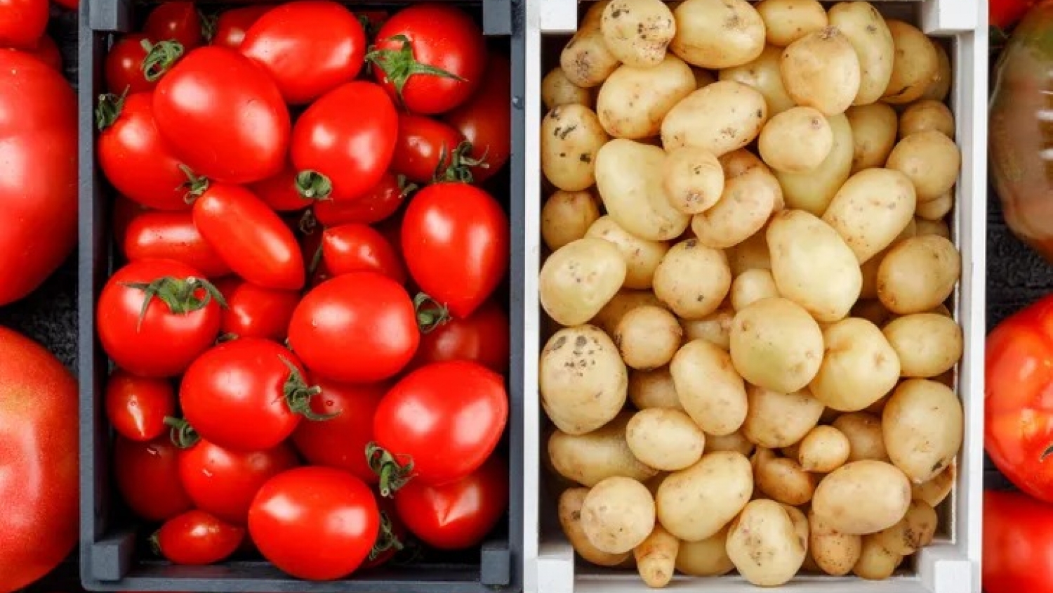 El Mercado Central registró fuertes aumentos en verduras y anticipa impacto en la inflación