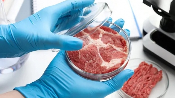 <Uruguay: buscan prohibir la fabricación y la importación de la “carne” cultivada