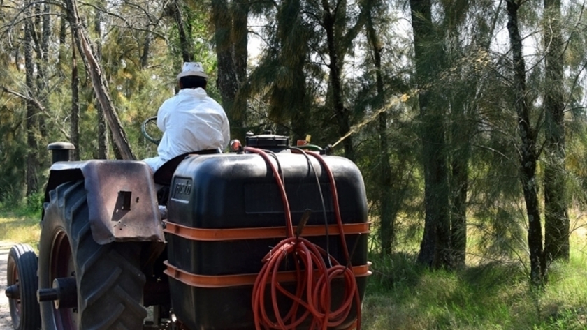Son 467 los productores citrícolas que recibieron el cebo que controla la propagación de la Mosca de los Frutos