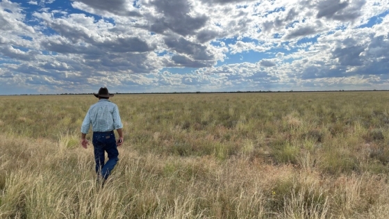 SLM Partners Highlights Regenerative Agriculture and Carbon Credit Revenue in Australian Case Study