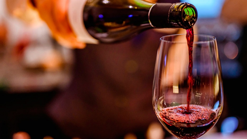 Por la sustentabilidad de la industria del vino