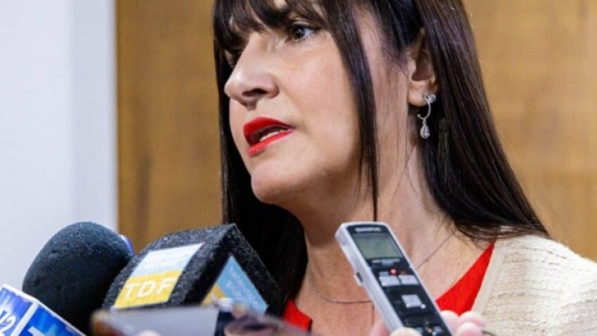Karina Fernández criticó duramente al diputado Espert por pedir la eliminación del régimen de promoción industrial