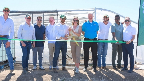 Duckweed to dollars: Plantible Foods fully operational at Texas RuBisCO plant, eyes tripling capacity