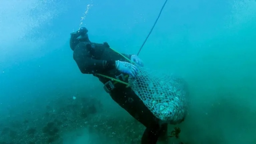 Chubut. Pesca artesanal: Inicia la veda biológica en Puerto Madryn y golfos norpatagónicos