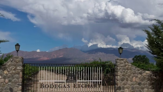 Molinos refuerza su apuesta al vino y suma una histórica bodega de los Valles Calchaquíes
