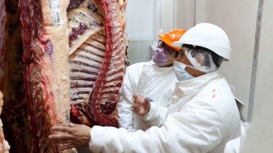 China alcanza niveles record de importación de carne vacuna: Entre enero y julio compró 1,52 millón de toneladas peso producto