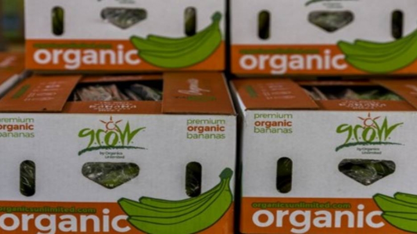 Organics Unlimited: la empresa que ofrece banano orgánico y crece durante la pandemia