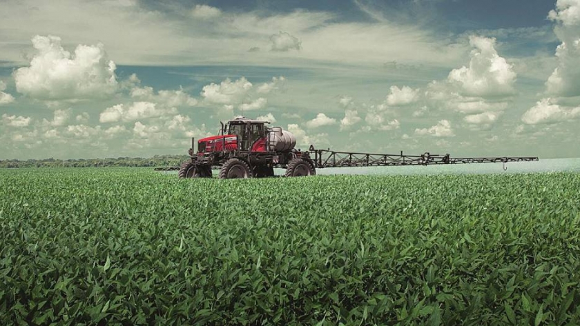 Micronutrientes: ¿cómo responde la soja a la fertilización con zinc y boro?