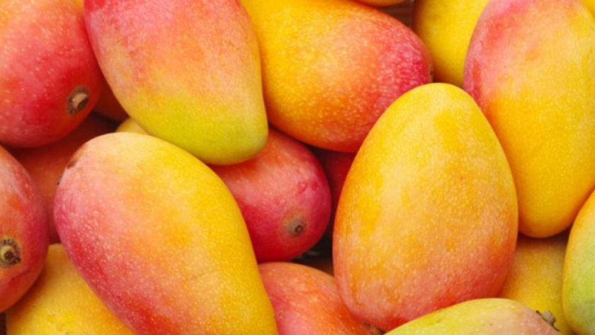 Mangos y frutos tropicales de Naineck rumbo a mercados nacionales